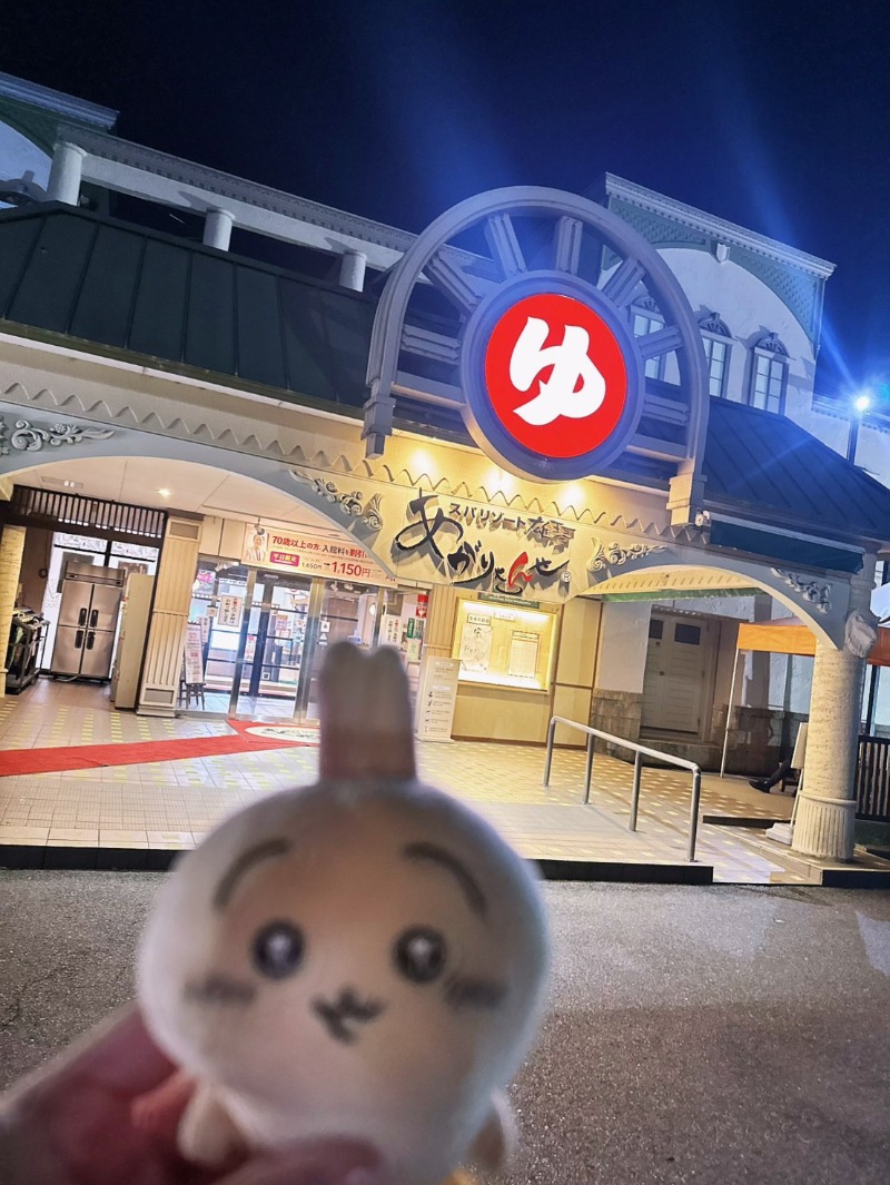 サウナが好きなうさぎ🐰さんのスパリゾート雄琴 あがりゃんせのサ活写真