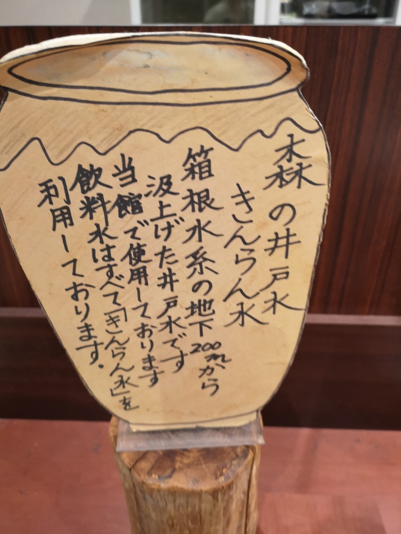 Big Townさんのモダン湯治 おんりーゆーのサ活写真