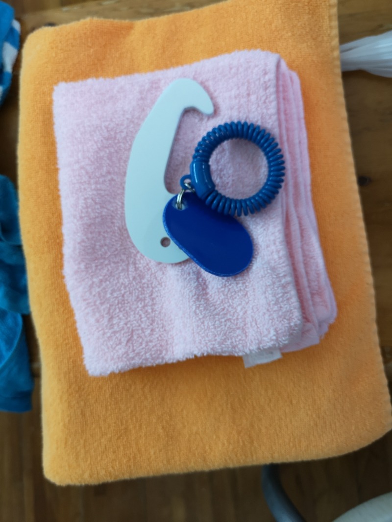 Big Townさんの旭湯のサ活写真