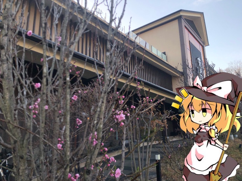 ちいさいおじさんさんの竜泉寺の湯 八王子みなみ野店のサ活写真