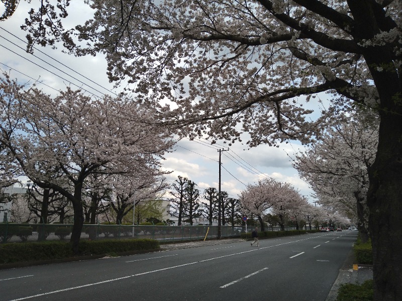 みなっちょさんのととのいの郷 秦野湯花楽のサ活写真