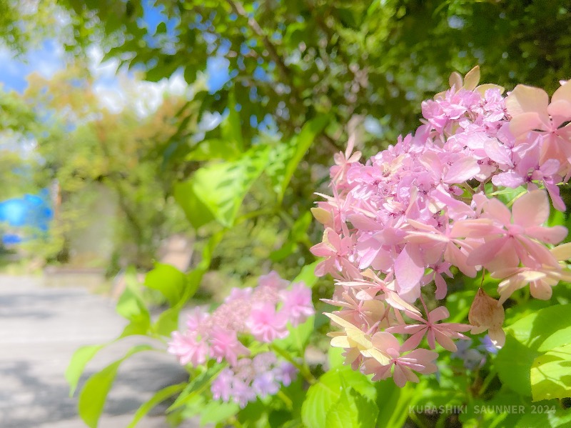 倉敷サウナー📷さんの旧原田邸のサ活写真