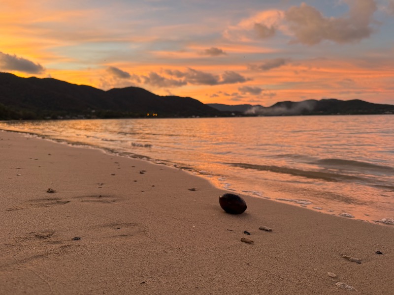 浅はかさんの龍郷町健康保険センターどぅくさぁや館のサ活写真