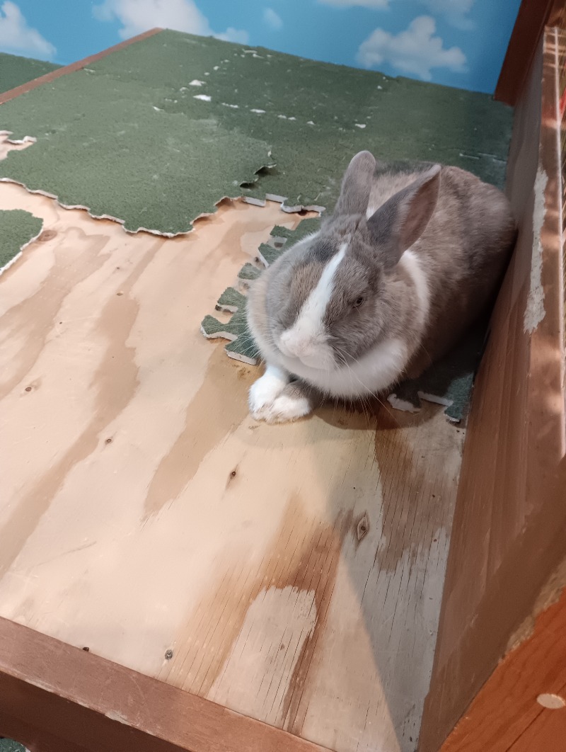 ♨どめお♨さんのアクアリゾート 岐阜ふじの湯のサ活写真