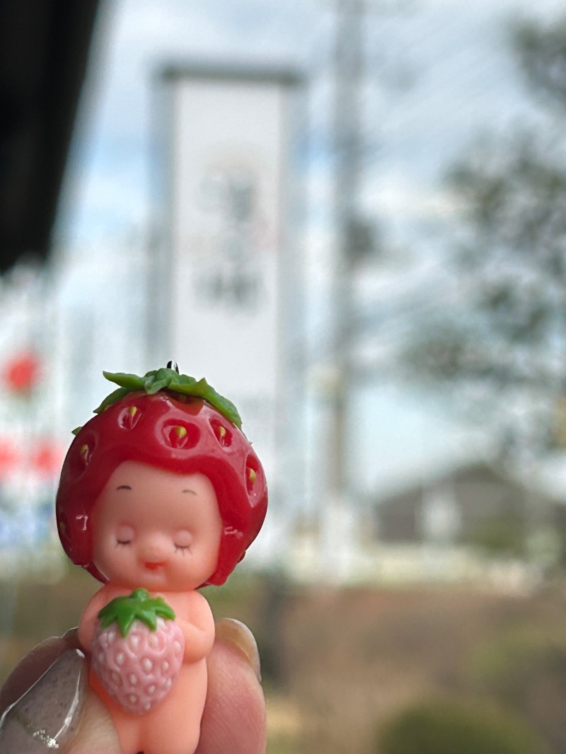 🍓ゆっこ🍓さんの野天風呂 湯の郷のサ活写真