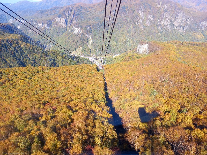 すぎっぴさんのホテル大雪 ONSEN & CANYON  RESORTのサ活写真