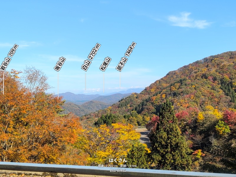 ノン子さんの今庄365温泉 やすらぎのサ活写真