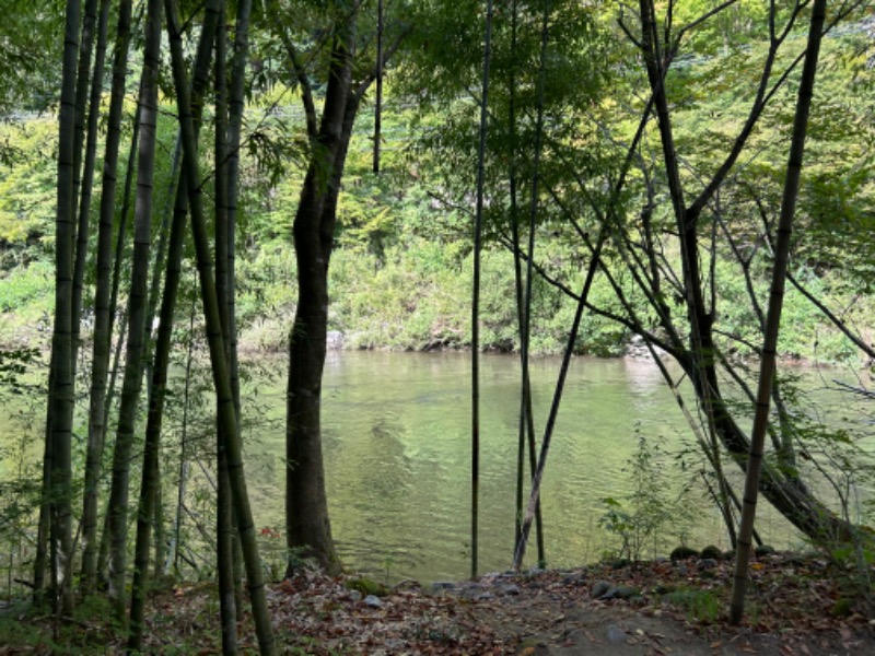 サウナースさんのSauna Base SHIFUKUのサ活写真