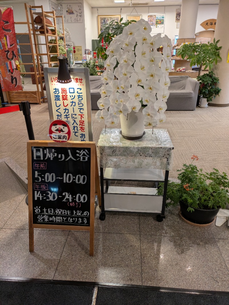 南信州人さんの殿岡温泉 湯元 湯～眠のサ活写真