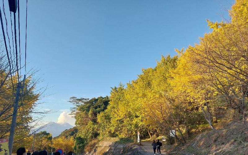 T_aroさんの桜島マグマ温泉 国民宿舎 レインボー桜島のサ活写真
