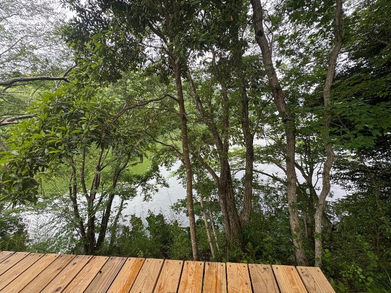 黒猫のうるるさんの宇部サウナセンターのサ活写真