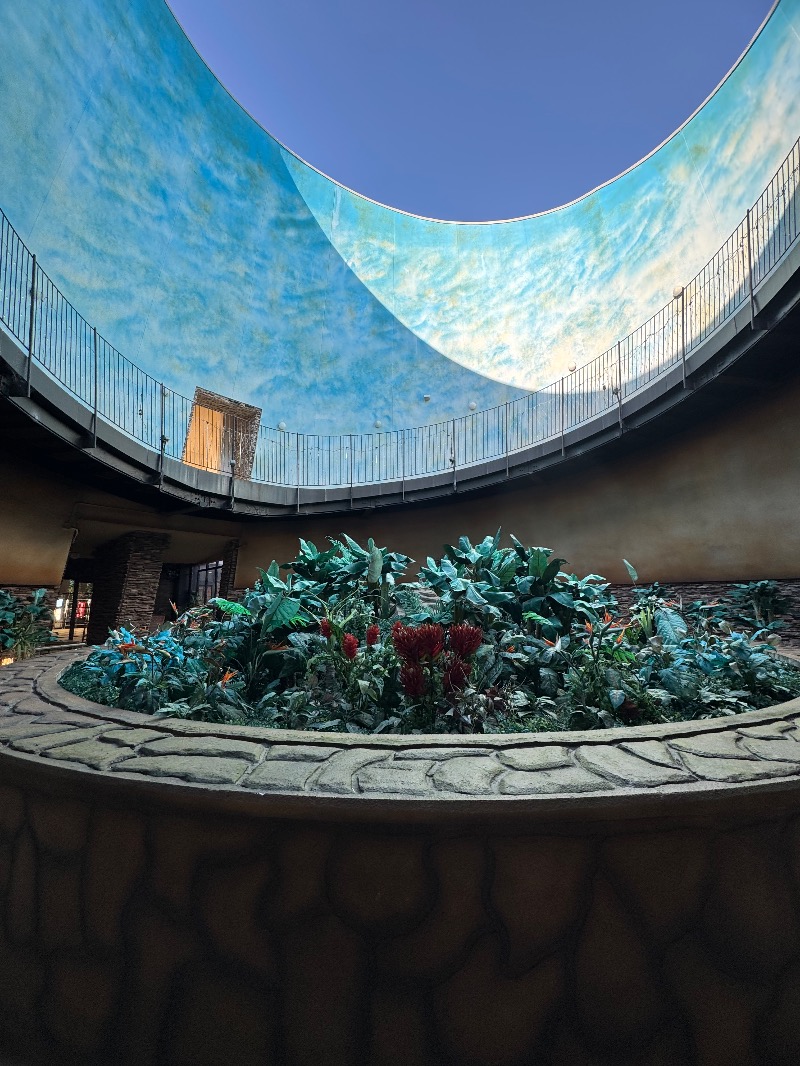 黒猫のうるるさんのリバティーリゾート大東温泉のサ活写真