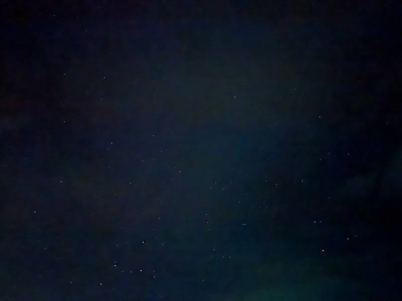 黒猫のうるるさんの奥音のサ活写真