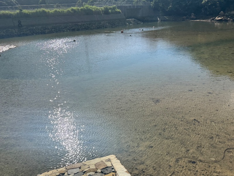 黒猫のうるるさんの奥音のサ活写真