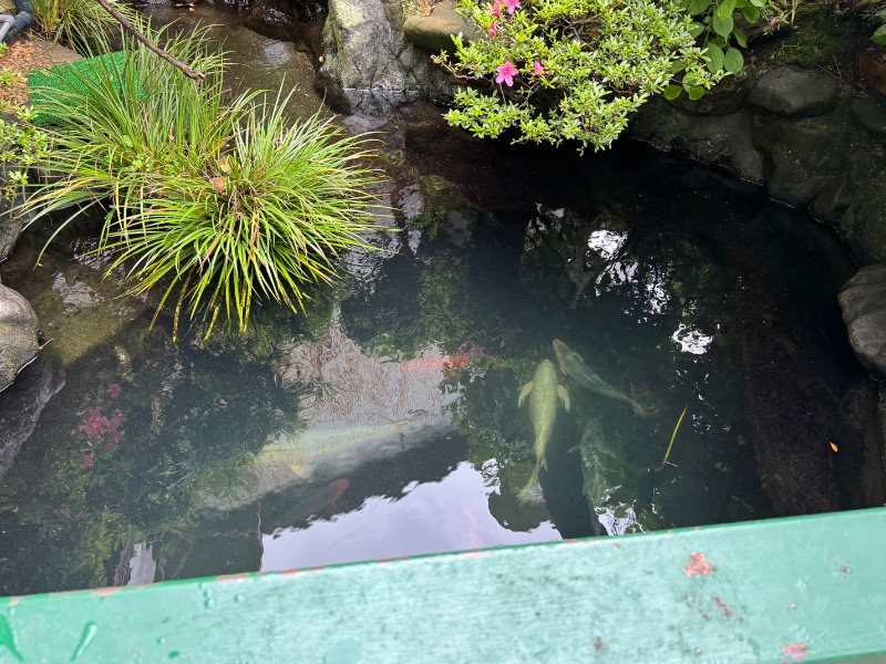 黒猫のうるるさんの栄盛湯のサ活写真