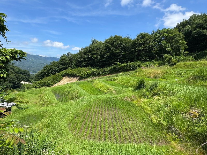 黒猫のうるるさんのさなざわ㞢テラス(温泉&サウナ)のサ活写真