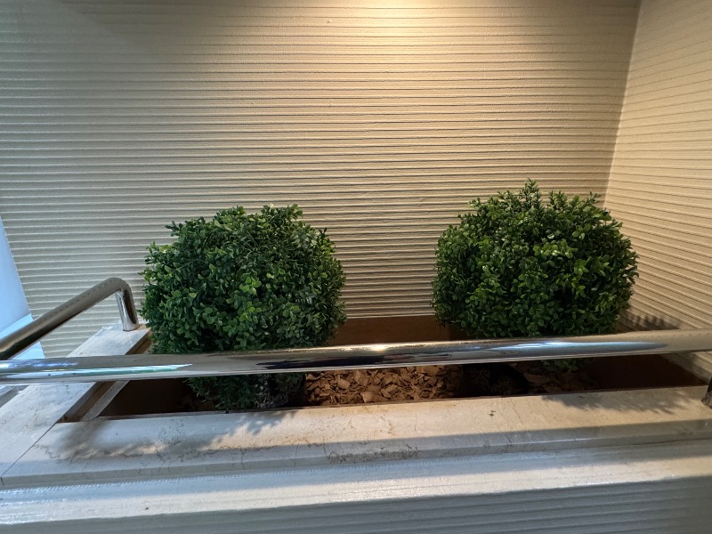 黒猫のうるるさんのグリーンランド 中洲店のサ活写真