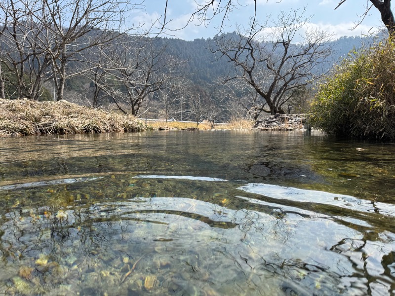 黒猫のうるるさんの南光自然観察村フィンランドサウナのサ活写真
