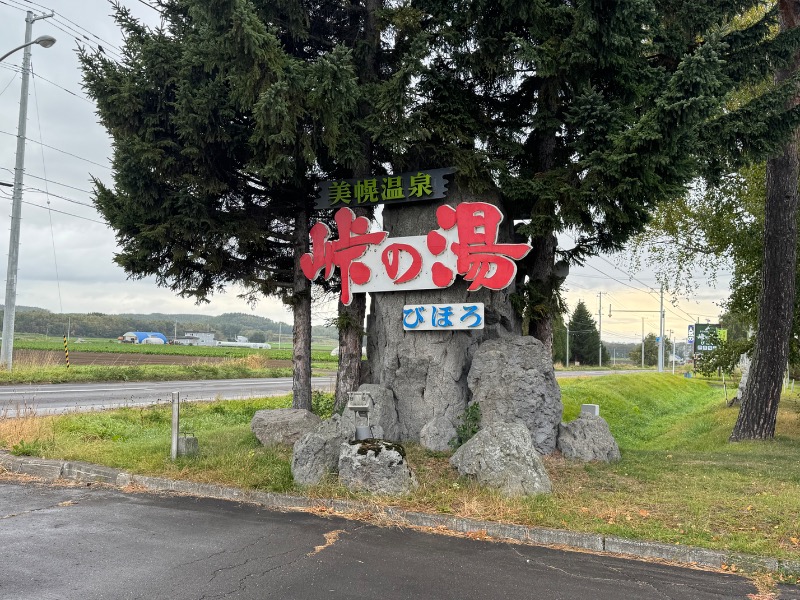 黒猫のうるるさんの峠の湯びほろのサ活写真