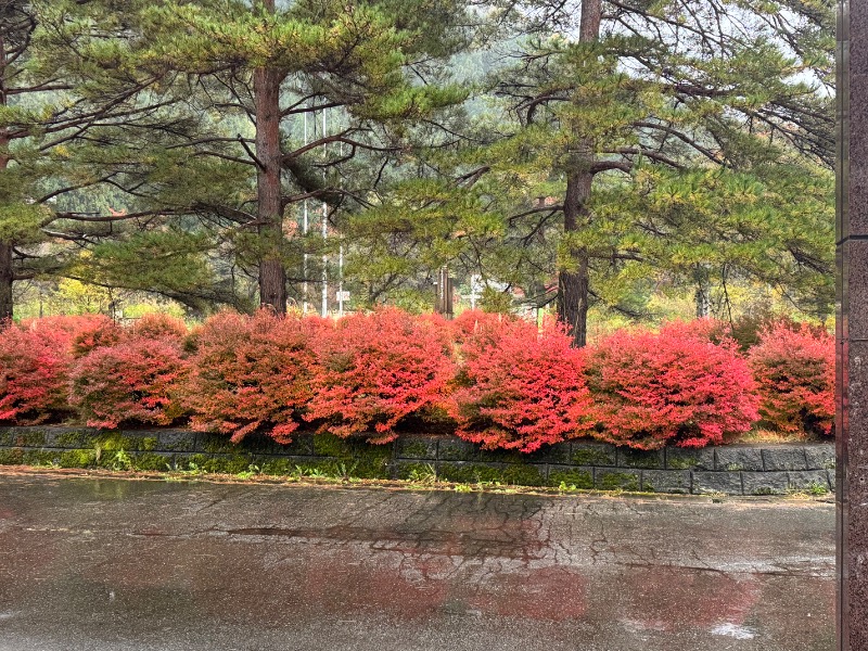 黒猫のうるるさんの川口温泉 奥羽山荘のサ活写真