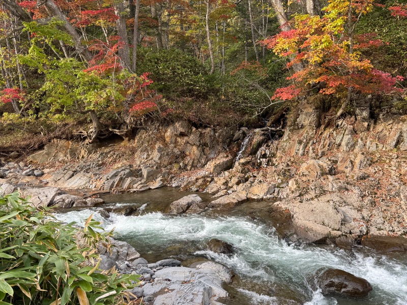 黒猫のうるるさんのトムラウシ温泉 東大雪荘のサ活写真