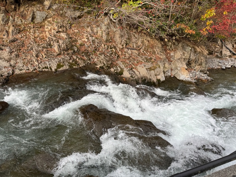 黒猫のうるるさんのトムラウシ温泉 東大雪荘のサ活写真