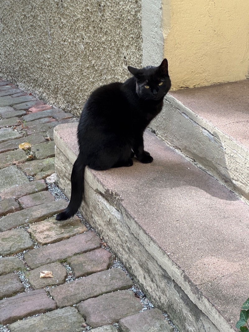 黒猫のうるるさんのCaracalla Spaのサ活写真