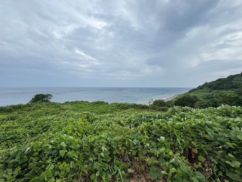 黒猫のうるるさんの温泉旅館 輪島 ねぶた温泉 海游 能登の庄のサ活写真