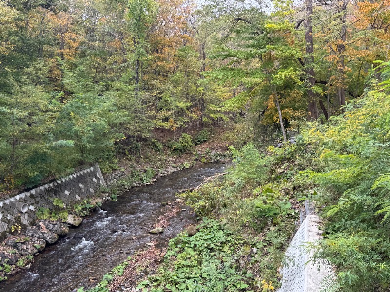 黒猫のうるるさんの日帰り入浴施設マウレ山荘ポッケの湯のサ活写真