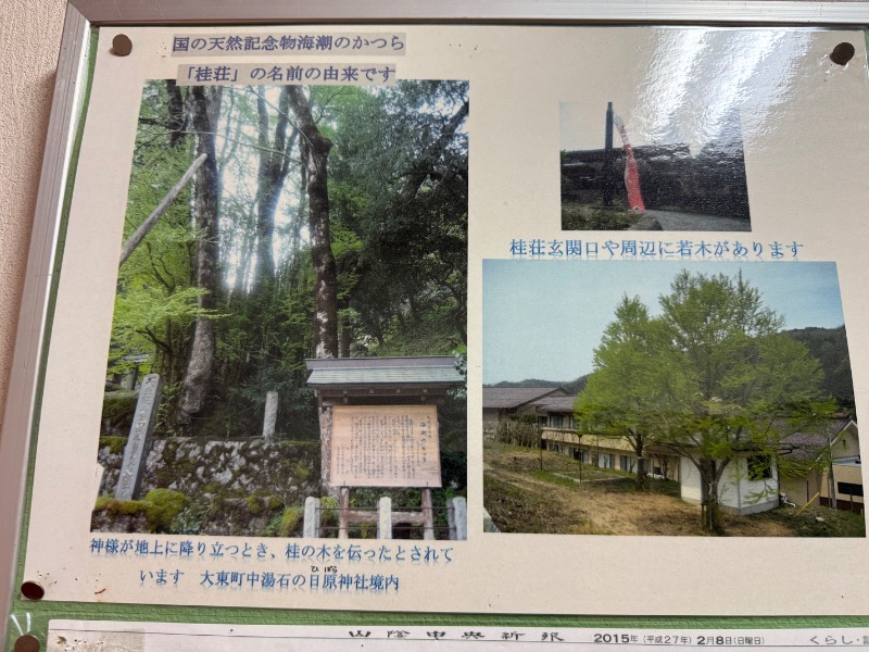 黒猫のうるるさんの桂荘のサ活写真