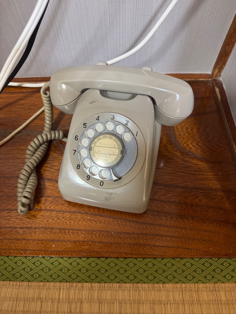 黒猫のうるるさんの精進レークホテルのサ活写真