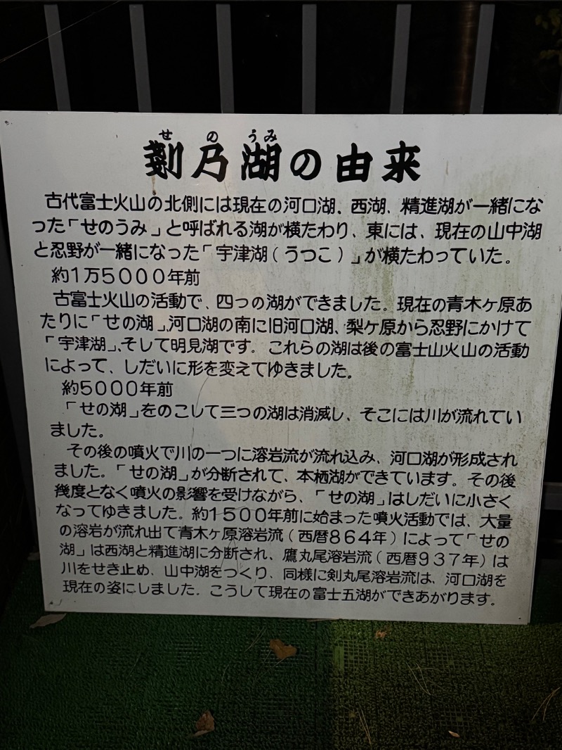 黒猫のうるるさんの精進レークホテルのサ活写真