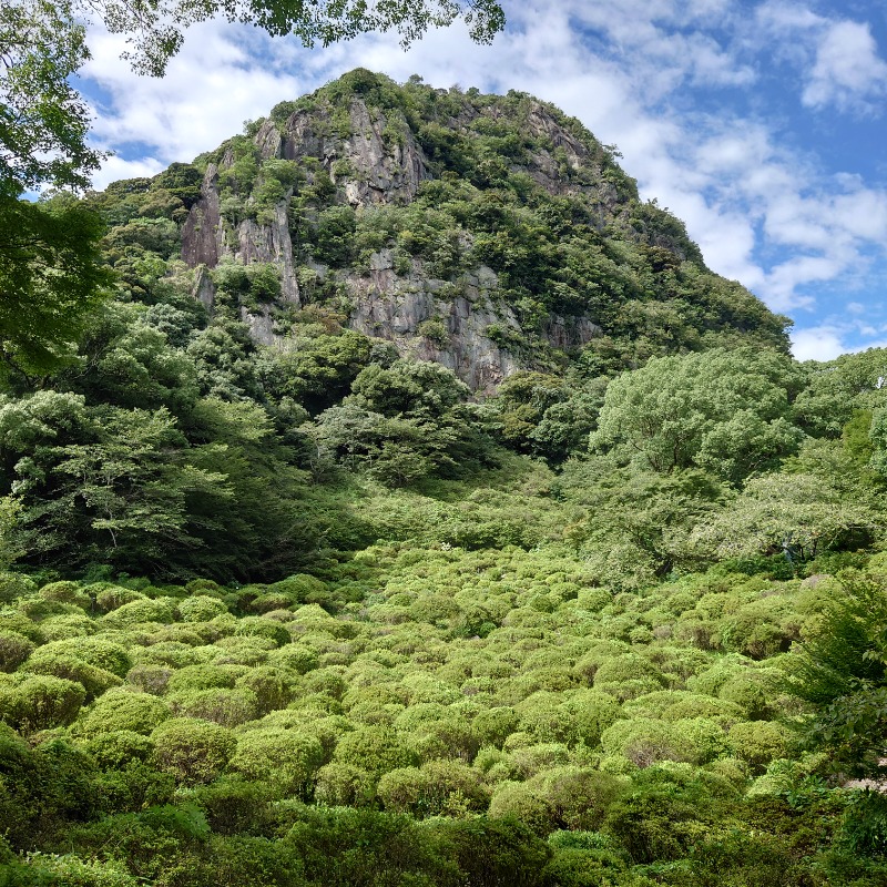 け～さんの御船山楽園ホテル  らかんの湯のサ活写真