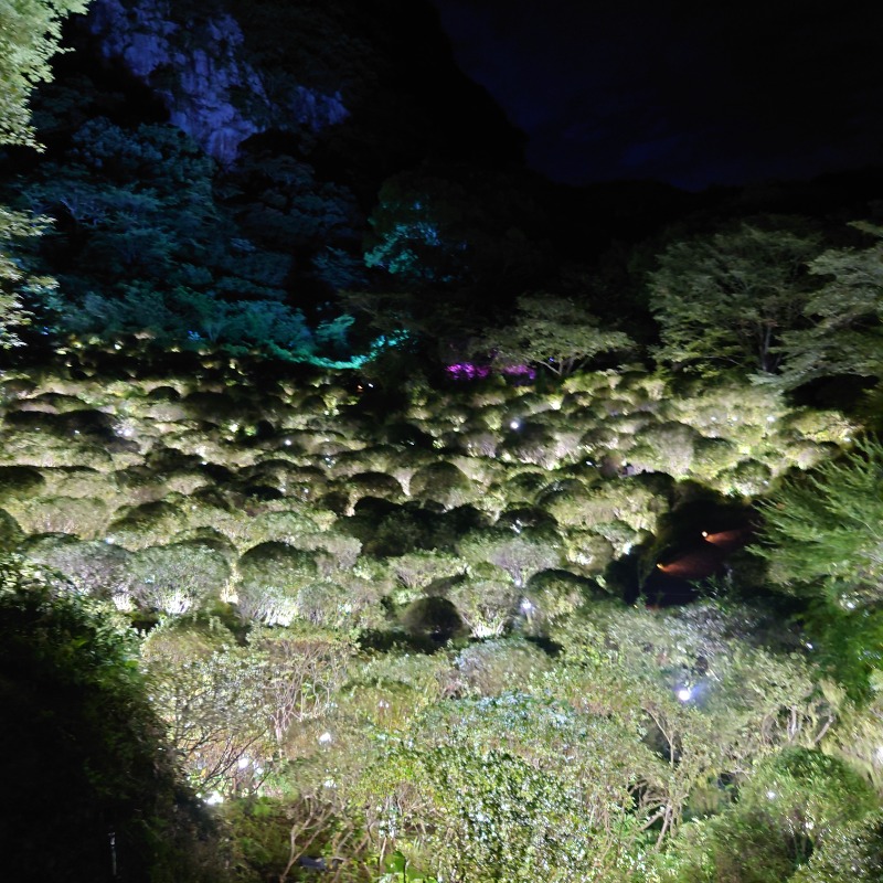 け～さんの御船山楽園ホテル  らかんの湯のサ活写真