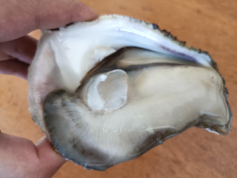 テレクちゃんさんのいい湯らていのサ活写真