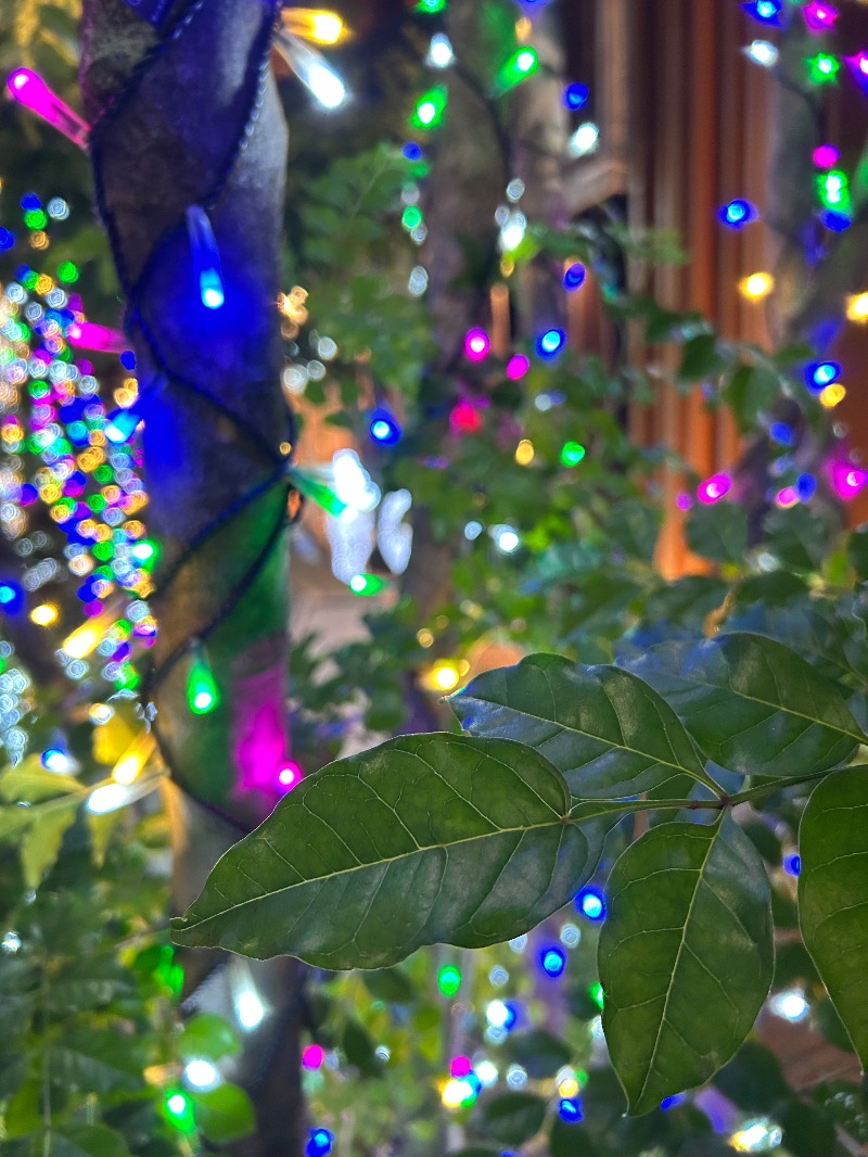 コロッケ野郎Aチームさんのサウナリゾートオリエンタル赤坂のサ活写真