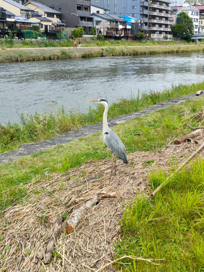 ちよまるさんのサウナ&カプセルホテル ルーマプラザのサ活写真