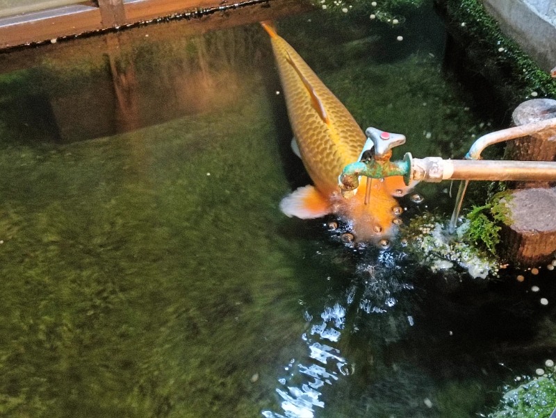 白汀さんの花園温泉のサ活写真