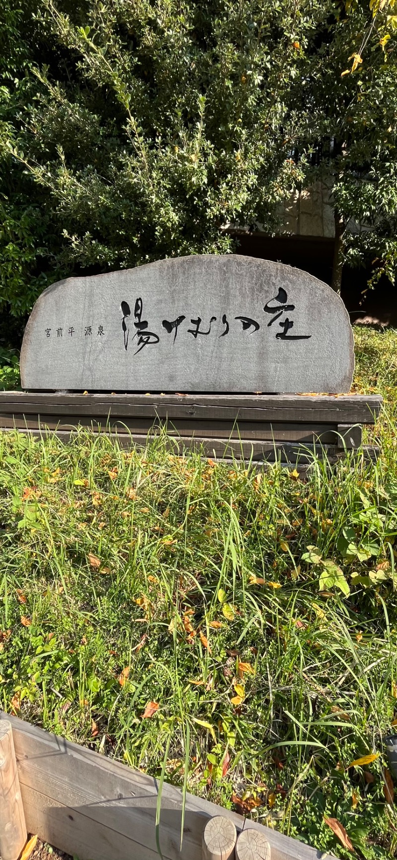 thinking-timeさんの宮前平源泉 湯けむりの庄のサ活写真