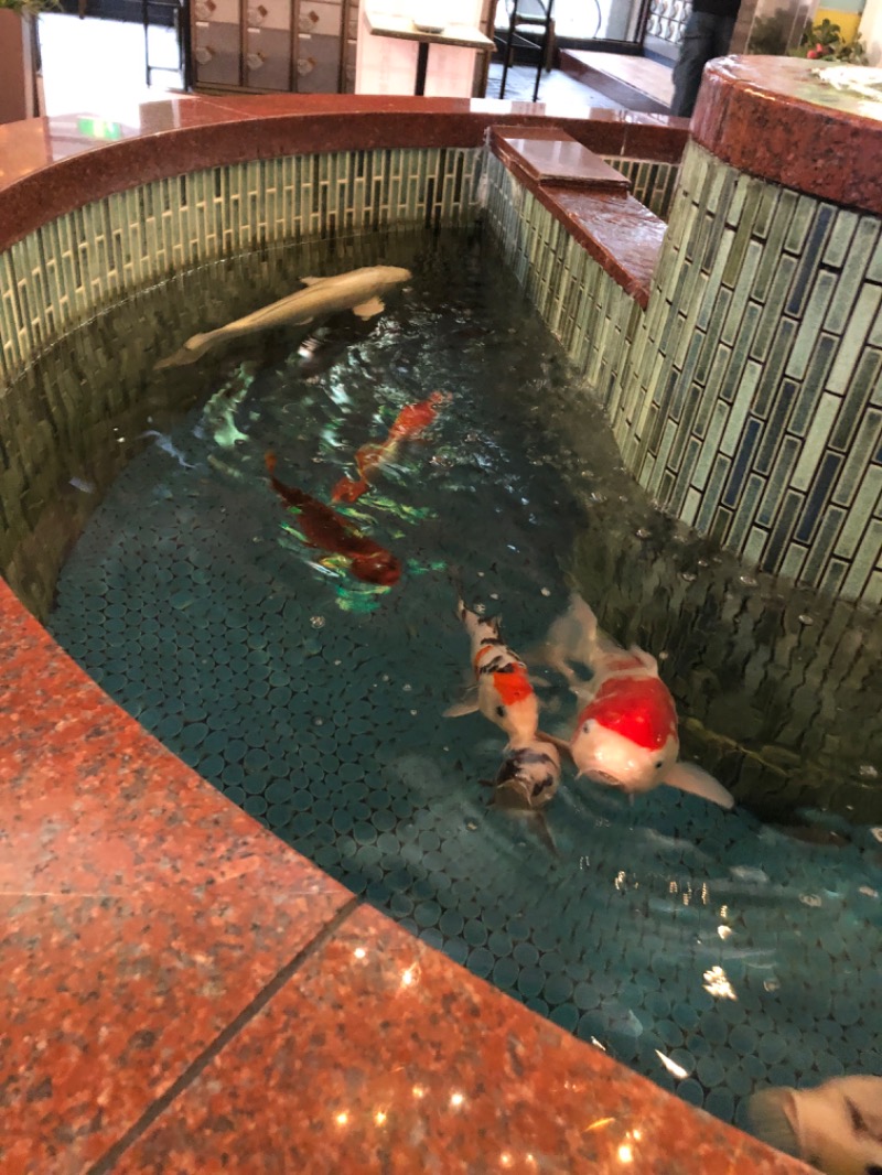 ヒロヒロさんの夢の公衆浴場 五色のサ活写真