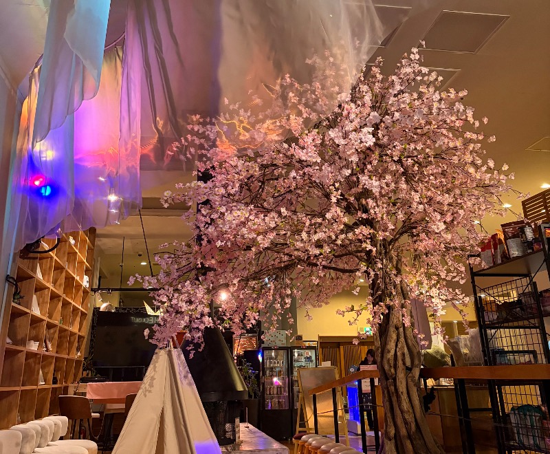 Sayuさんのおふろcafé utataneのサ活写真
