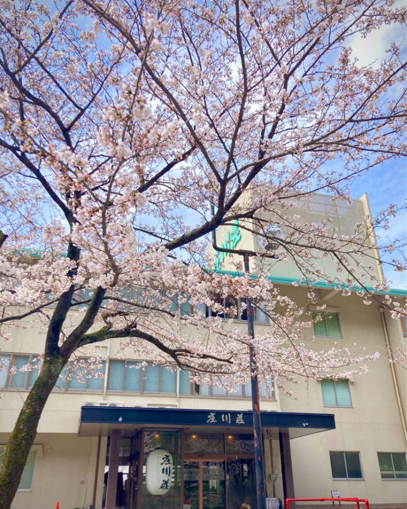 とやまの富々乃井さんの庄川清流温泉 となみ野庄川荘のサ活写真