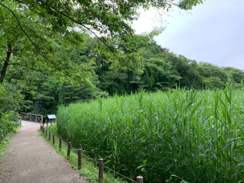 ゆき🍄さんの神代湯のサ活写真