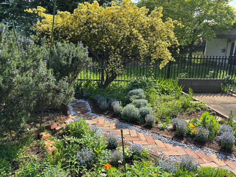 ゆき🍄さんの湯乃泉 東名厚木健康センターのサ活写真