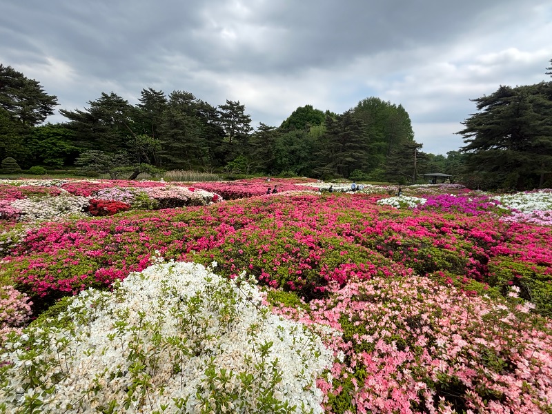 ゆき🍄さんの湯乃泉 東名厚木健康センターのサ活写真
