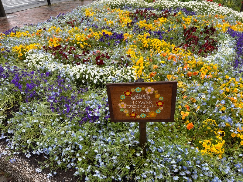 ゆき🍄さんの湯乃泉 東名厚木健康センターのサ活写真