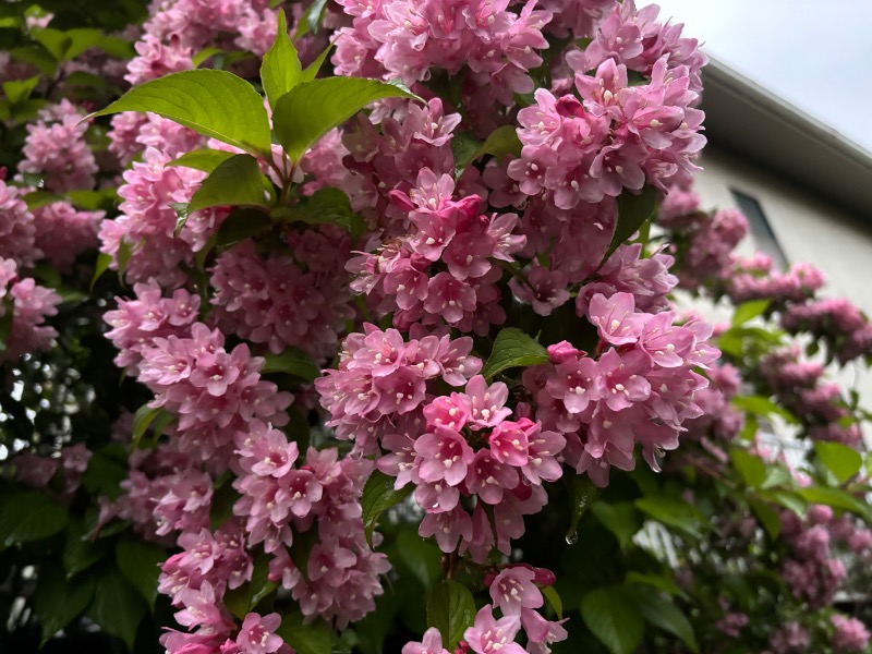 ゆき🍄さんの湯乃泉 東名厚木健康センターのサ活写真