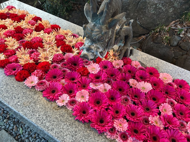 あんぽんたんさんのよみうりランド眺望温泉 花景の湯のサ活写真