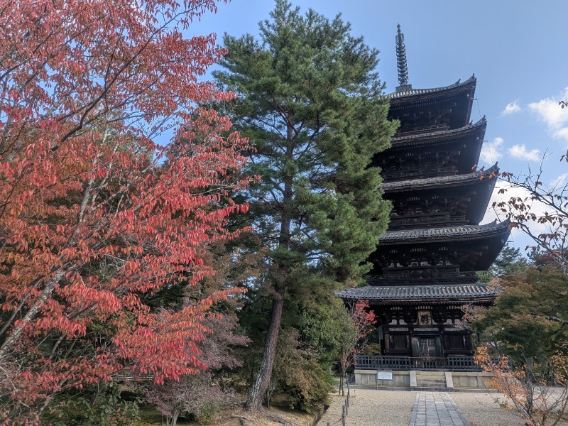 サっさんさんのサウナの梅湯のサ活写真