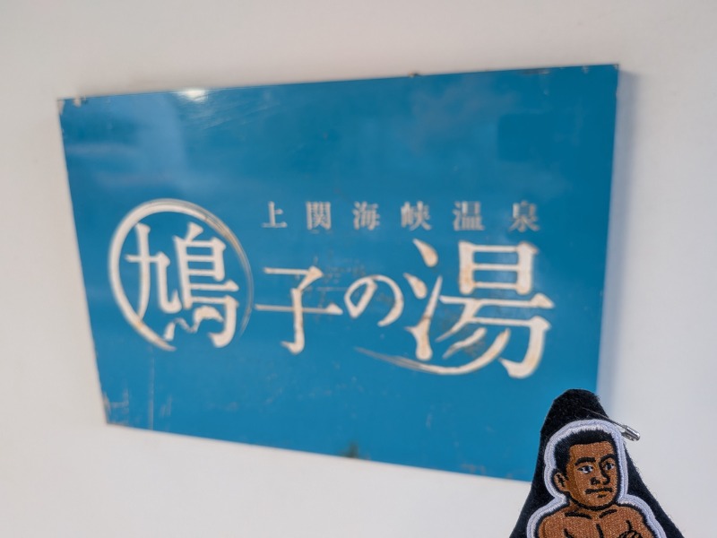 サっさんさんの上関海峡温泉 鳩子の湯のサ活写真